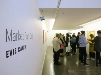 Jacky Winter Gallery