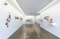 Jacky Winter Gallery