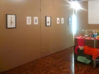 Jacky Winter Gallery