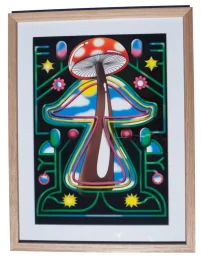 Jacky Winter Gallery