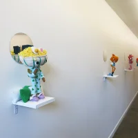 Jacky Winter Gallery