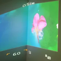 Jacky Winter Gallery