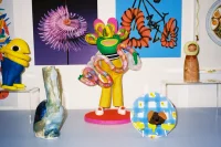 Jacky Winter Gallery