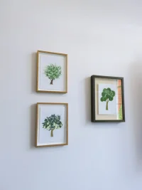 Jacky Winter Gallery