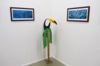 Jacky Winter Gallery