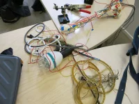 Jacky Winter Gallery