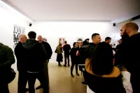 Jacky Winter Gallery