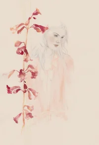 Jacky Winter Gallery
