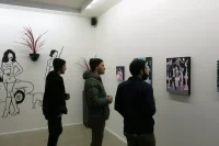 Jacky Winter Gallery