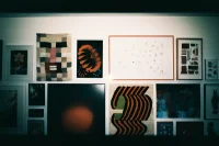 Jacky Winter Gallery