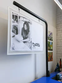 Jacky Winter Gallery