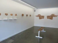 Jacky Winter Gallery