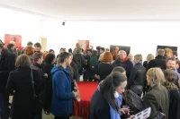 Jacky Winter Gallery