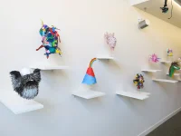 Jacky Winter Gallery