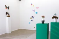 Jacky Winter Gallery