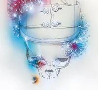 Jacky Winter Gallery