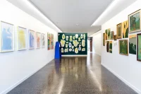 Jacky Winter Gallery