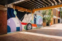 Jacky Winter Gallery