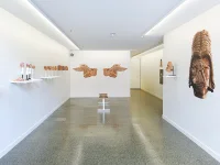 Jacky Winter Gallery