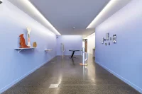 Jacky Winter Gallery