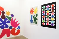 Jacky Winter Gallery