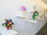 Jacky Winter Gallery