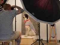 Jacky Winter Gallery