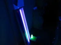 Jacky Winter Gallery