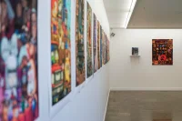 Jacky Winter Gallery