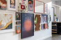 Jacky Winter Gallery