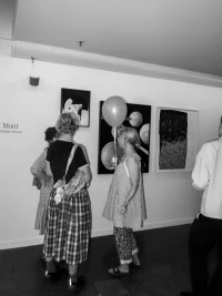 Jacky Winter Gallery