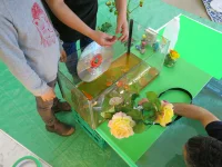 Jacky Winter Gallery