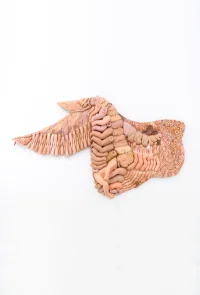 Jacky Winter Gallery