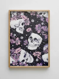 Jacky Winter Gallery