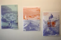 Jacky Winter Gallery