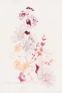 Jacky Winter Gallery