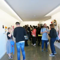 Jacky Winter Gallery