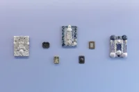 Jacky Winter Gallery