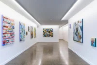 Jacky Winter Gallery