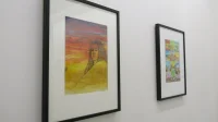 Jacky Winter Gallery