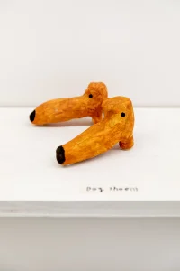 Jacky Winter Gallery