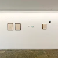 Jacky Winter Gallery