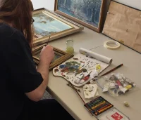 Jacky Winter Gallery