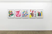 Jacky Winter Gallery