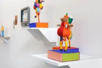 Jacky Winter Gallery