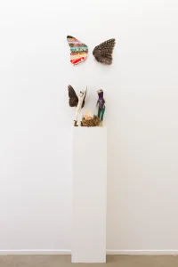 Jacky Winter Gallery