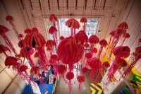 Jacky Winter Gallery