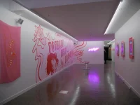 Jacky Winter Gallery