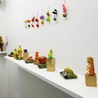Jacky Winter Gallery