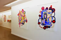 Jacky Winter Gallery
